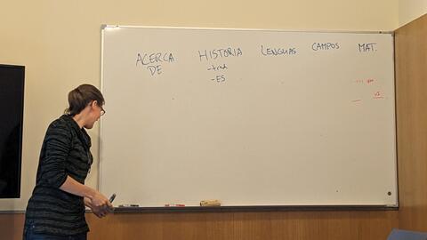 Presenting Proel website plans to the group