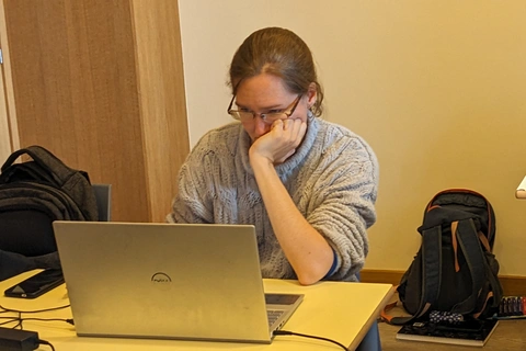 Website manager of Proel's site