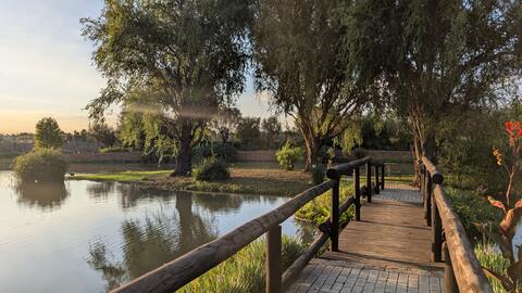 Bridge on eMseni lake