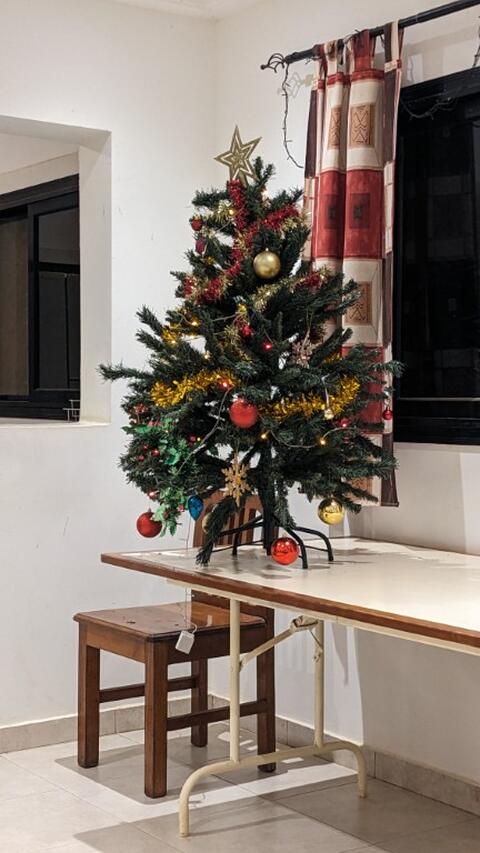Christmas tree and lights were put up in the canteen
