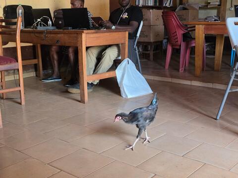 Lunch visits Workshop