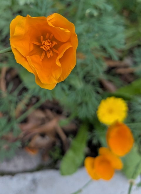 Dehradun workshop Jan 2026