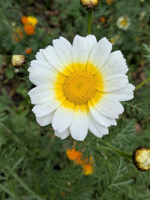 Dehradun workshop Jan 2026